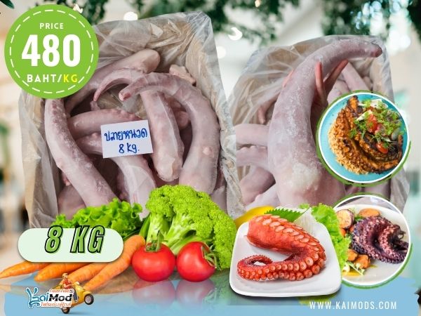 ปลายหนวดหมึกยักษ์