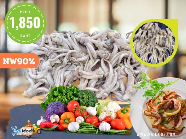 หัวปลาหมึกอาเจน